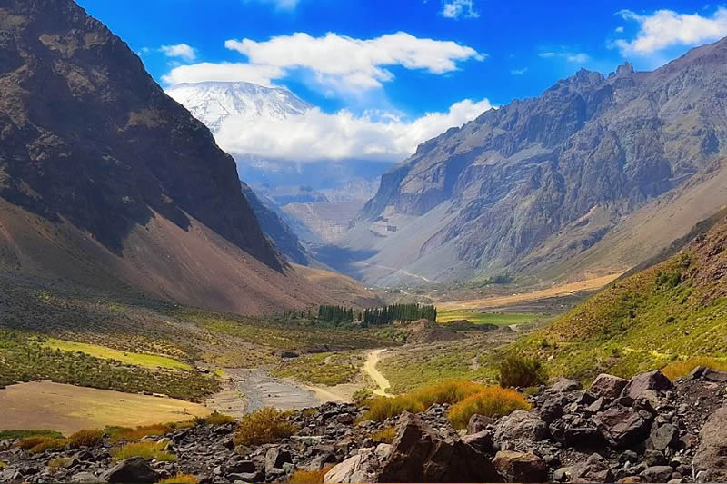 Chile - Valle de Maipo